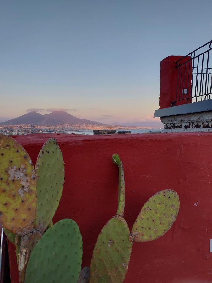 B&B Toledo Panoramic Rooftop With Terrace 那不勒斯 外观 照片